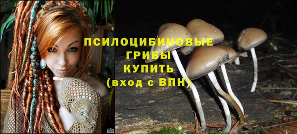 дмт Белокуриха