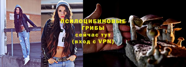 дмт Белокуриха